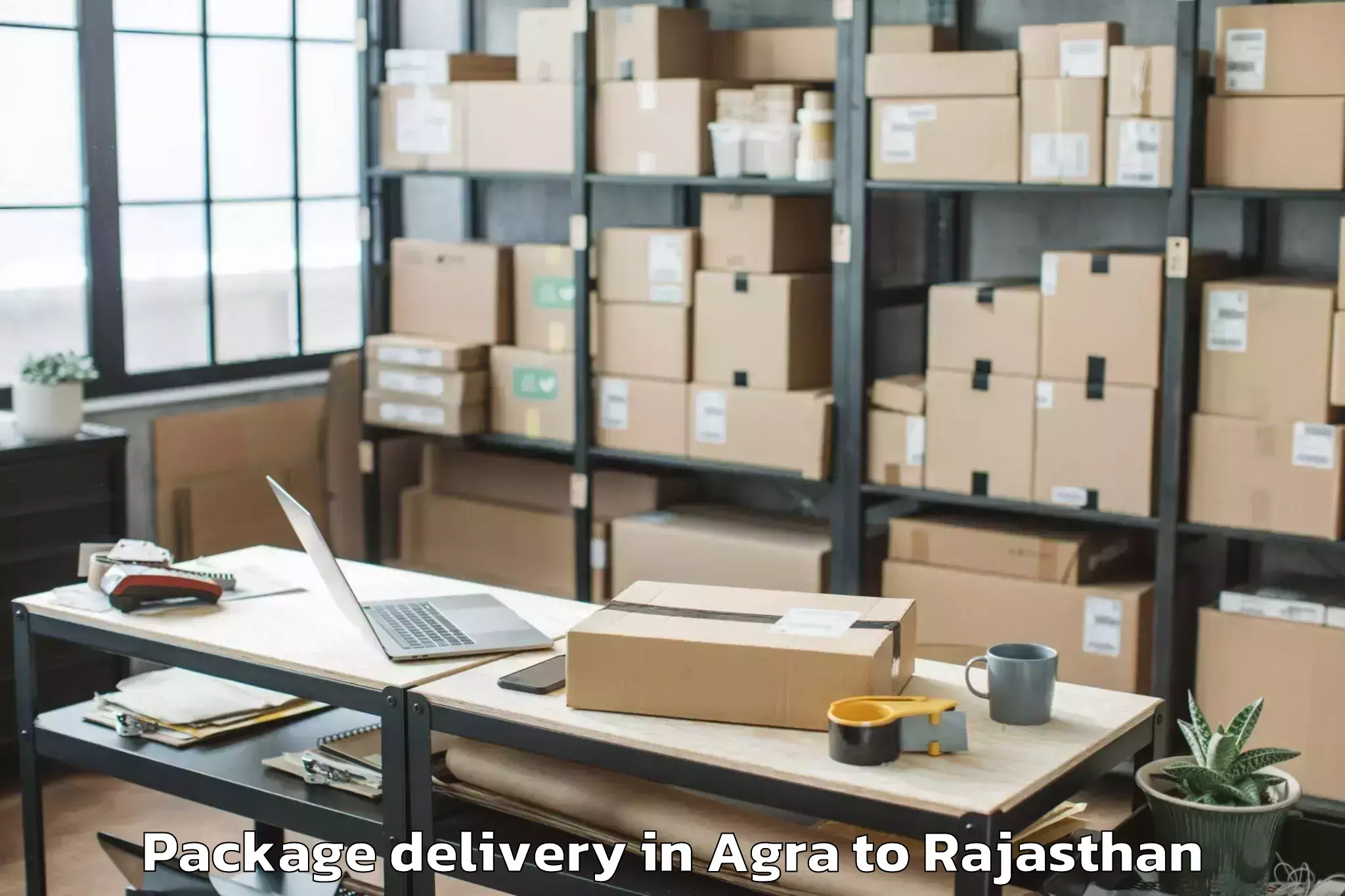 Easy Agra to Bhinmal Package Delivery Booking